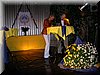 DSCN0247.JPG
