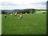 IMG_1686.JPG