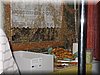 DSC05869.JPG
