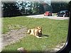 DSCF0015.JPG