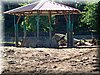 DSCF0018.JPG