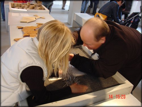 DSC03835.JPG